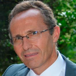 Prof. Dr. Ignacio De los Ríos Carmenado avatar image