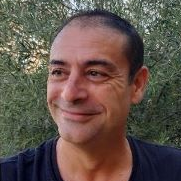 Prof. Dr. Guillermo Ramis avatar image