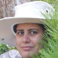 Dr. Leili Shahriyari avatar image