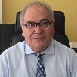 Prof. Dr. Dimitrios A. Emmanouloudis avatar image