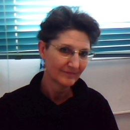 Dr. Chiara Alisi avatar image