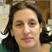 Dr. Tounsia Ait Slimane avatar image