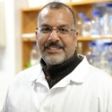 Dr. Alaa El-Din A. Bekhit avatar image
