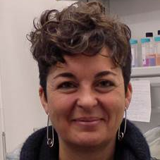 Prof. Dr. Amparo López-Rubio avatar image