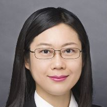 Prof. Dr. Hong Yang avatar image