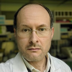 Dr. Sergey V. Balandin avatar image