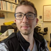 Dr. David Ramiro-Cortijo avatar image