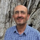 Prof. Dr. Pietro Santamaria avatar image