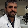 Dr. Filippo Biamonte avatar image