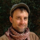 Dr. Werther Guidi Nissim avatar image