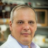 Prof. Dr. José Eduardo Serrão avatar image