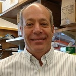 Prof. Dr. Michael Koval avatar image