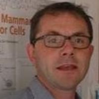 Prof. Dr. Mario Baratta avatar image