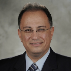 Prof. Dr. Emmanouil M Tentzeris avatar image