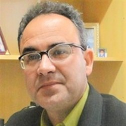 Prof. Dr. Geraldo Andrade Carvalho avatar image