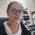 Dr. Corina Ciobanasu avatar image