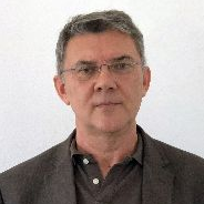 Prof. Dr. Andrea Bolognesi avatar image