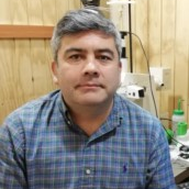 Dr. Marcelo A. Catalán avatar image