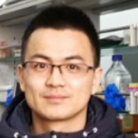 Prof. Dr. Dawei Xin avatar image