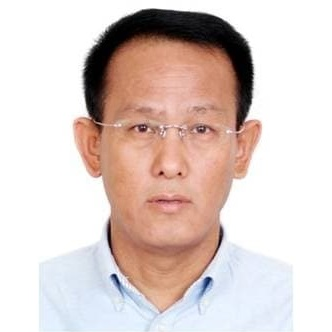 Prof. Dr. Minjie Wang avatar image