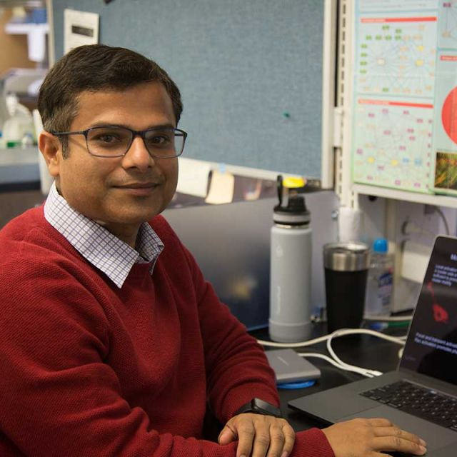 Dr. Abhinava K. Mishra avatar image