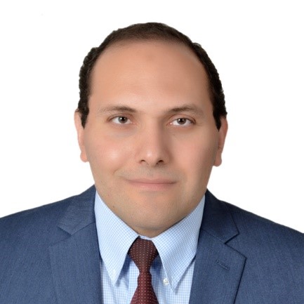 Dr. Mohamed Rahouma avatar image