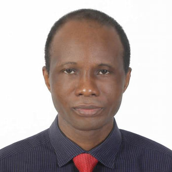 Dr. Samuel A Olatubosun avatar image