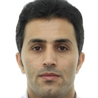 Dr. Behzad Vaferi avatar image
