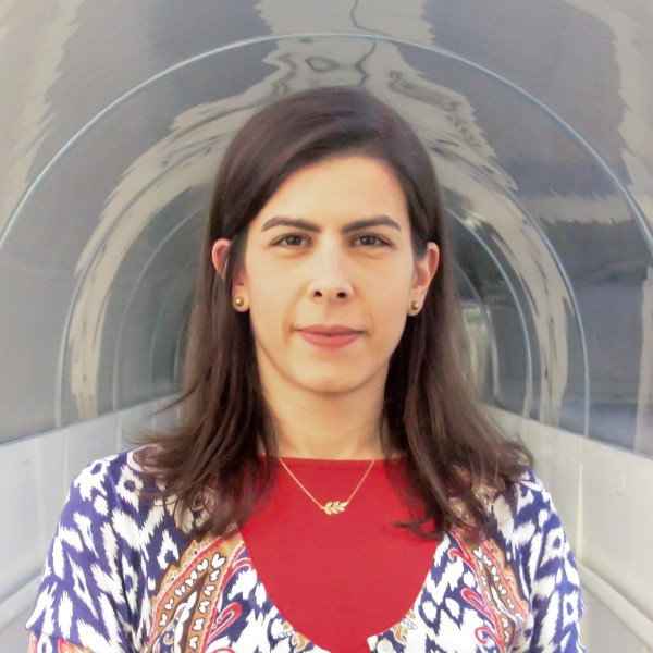 Dr. Inês Maria Valente avatar image
