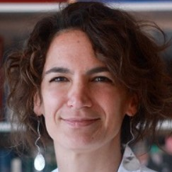 Dr. Sofia Avnet avatar image