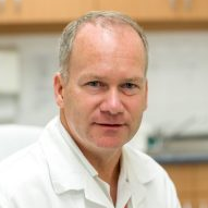 Prof. Dr. Péter Holló avatar image