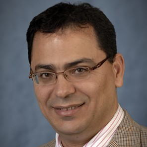 Prof. Dr. Ahmed El-Shafei avatar image