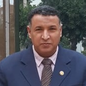 Prof. Dr. Mohamed Shaaban avatar image