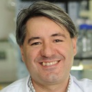 Dr. Agustín Valenzuela-Fernández avatar image