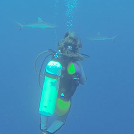  Sarah Oxley Heaney avatar image