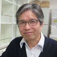 Prof. Dr. Yuichi Kobayashi avatar image