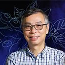 Prof. Dr. Hon-Ming Lam avatar image