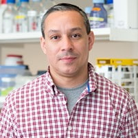 Dr. Alonso-Miguel Higuero avatar image