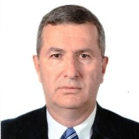 Prof. Dr. Aydogan Ozdemir avatar image