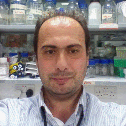 Dr. Petros Mouratidis avatar image