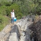 Dr. Elisabetta Dore avatar image