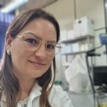 Prof. Dr. Fernanda Vitória Leimann avatar image