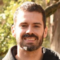 Dr. Germán A. Islan avatar image