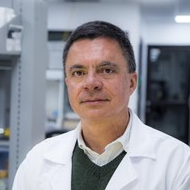 Dr. Juan Pablo Hernandez avatar image