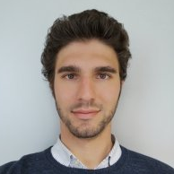 Dr. Luca Bertulessi avatar image