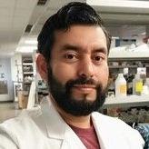 Dr. Roberto Vazquez-Munoz avatar image