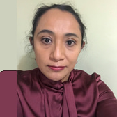 Dr. Aremis Villalobos Hernández avatar image