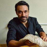 Dr. Luca Pandolfi avatar image