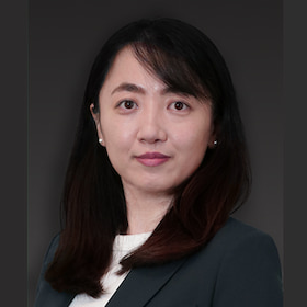 Dr. Meng Wang avatar image