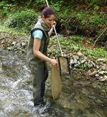 Dr. Dubravka Čerba avatar image